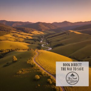 Banner Book And Save