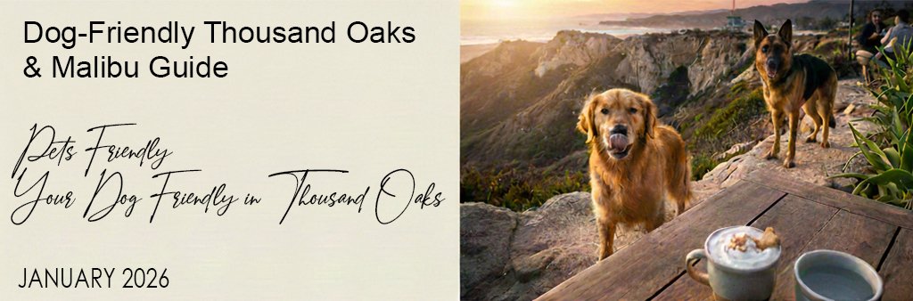 Dog-friendly hiking trail in the Santa Monica Mountains near The Creek Retreats