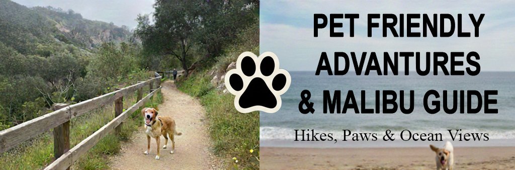 Dog friendly retreat